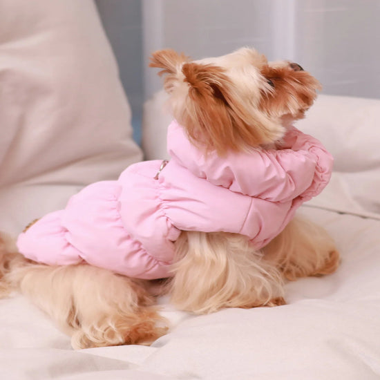 Layer Warm Dog Jacket for Autumn & Winter