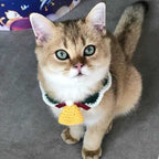 Cat wearing wool pet collar with yellow bell, handmade Christmas accessory for pets. Stylish and cozy holiday collar for cats or small dogs.