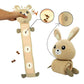 Dogs Sniff Toys Pet