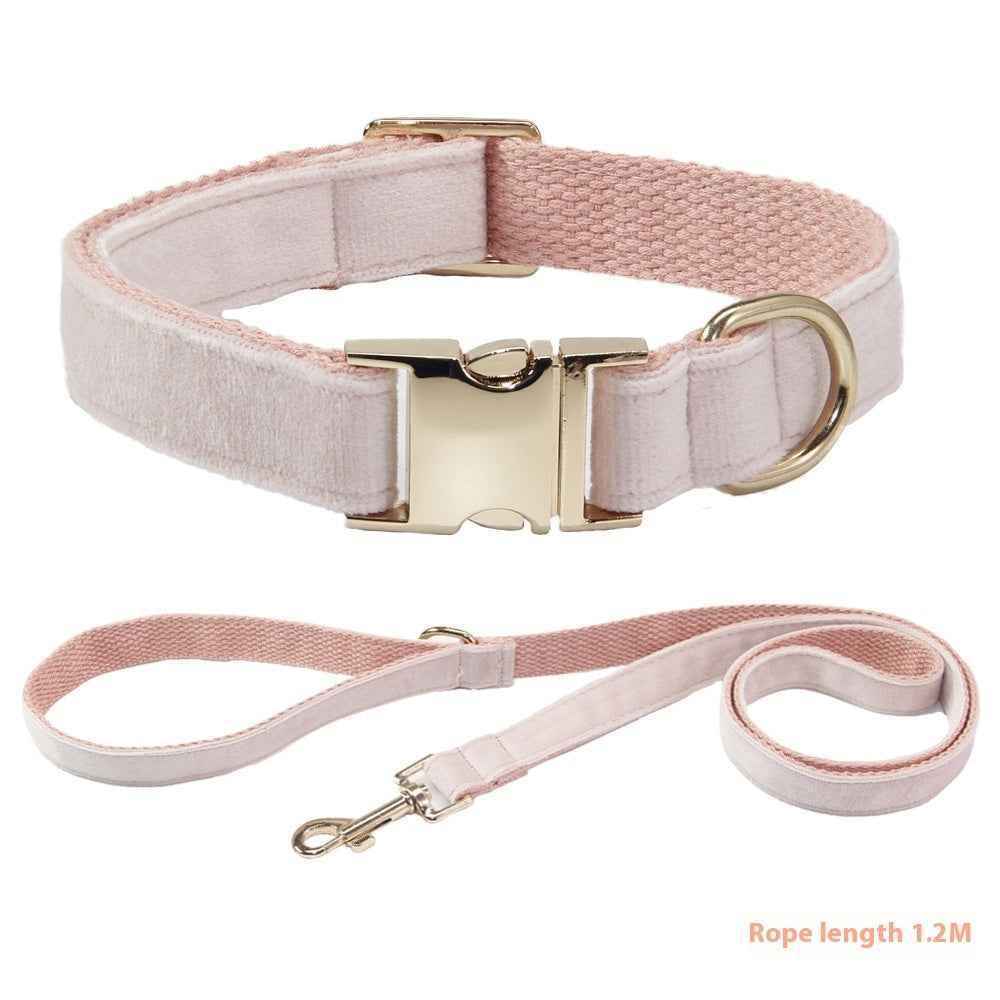 Dog Collar With Engraved Lettering