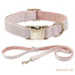 Dog Collar With Engraved Lettering