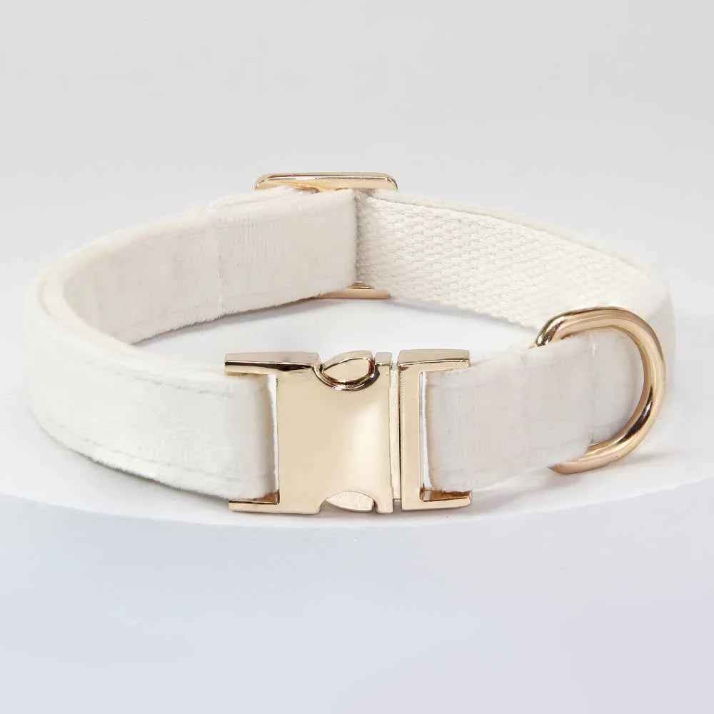 Dog Collar With Engraved Lettering