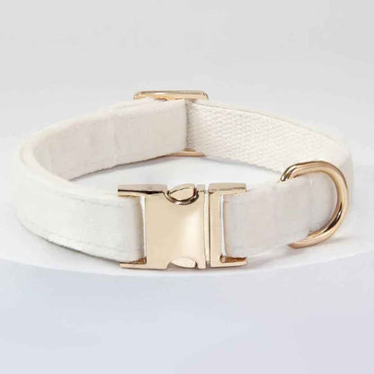 Dog Collar With Engraved Lettering