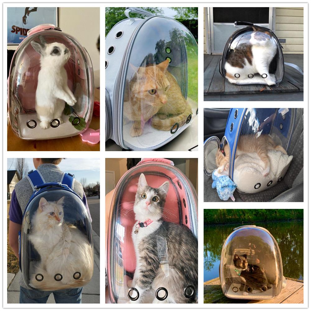 Mochila de Transporte para Gatos - Cat Carrier - VITOCLEI STORE